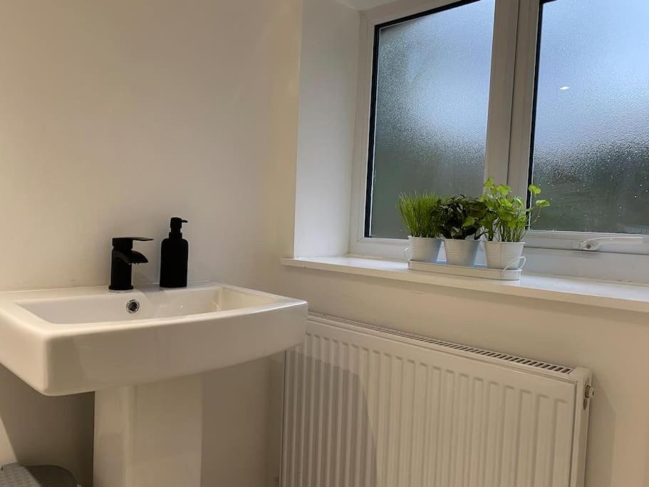 Modern 2 Bedroom Cottage Near Bike Park Wales. 梅瑟蒂德菲尔 外观 照片